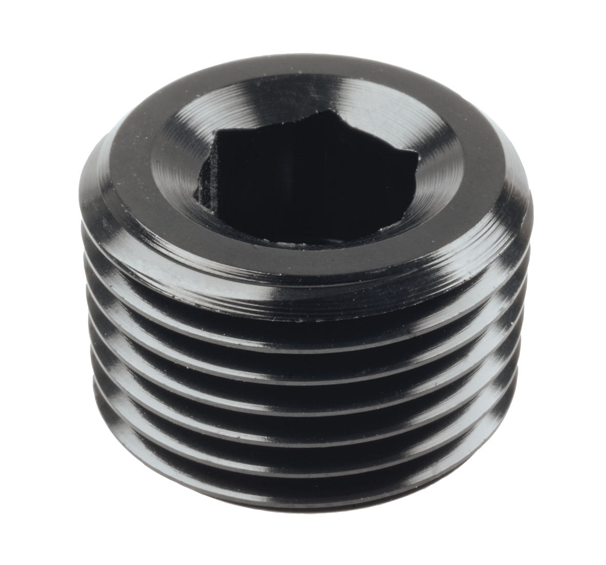 Raceworks NPT Male Plug Fitting