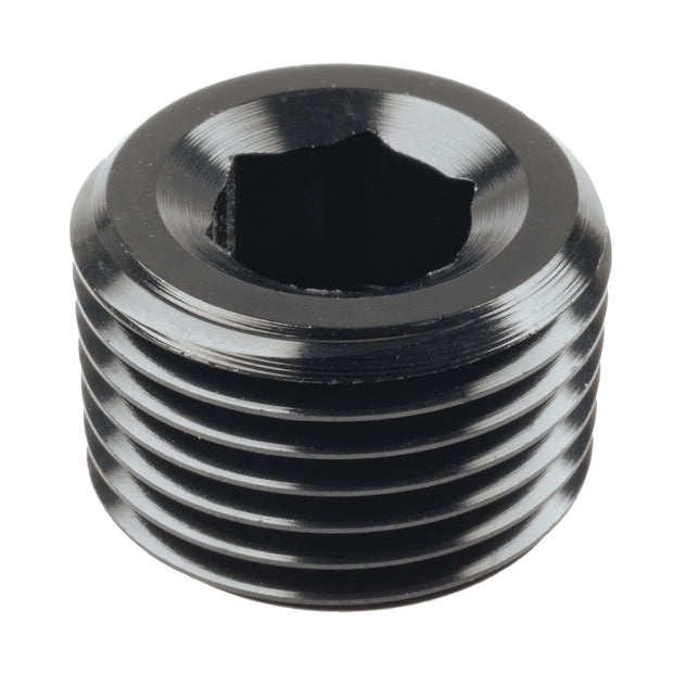 Raceworks NPT Male Plug Fitting
