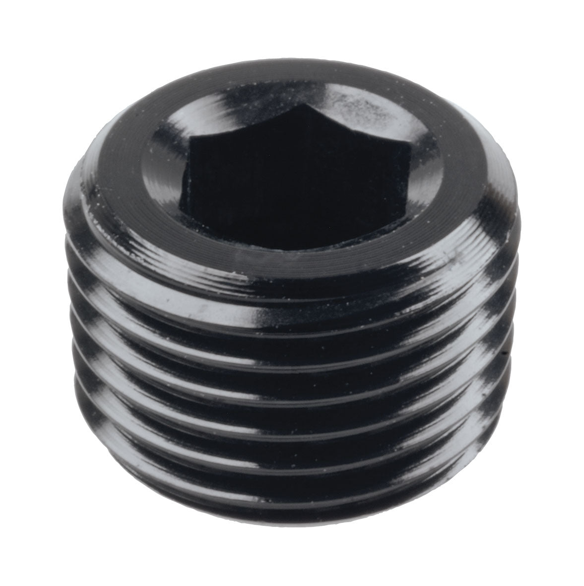 Raceworks NPT Male Plug Fitting