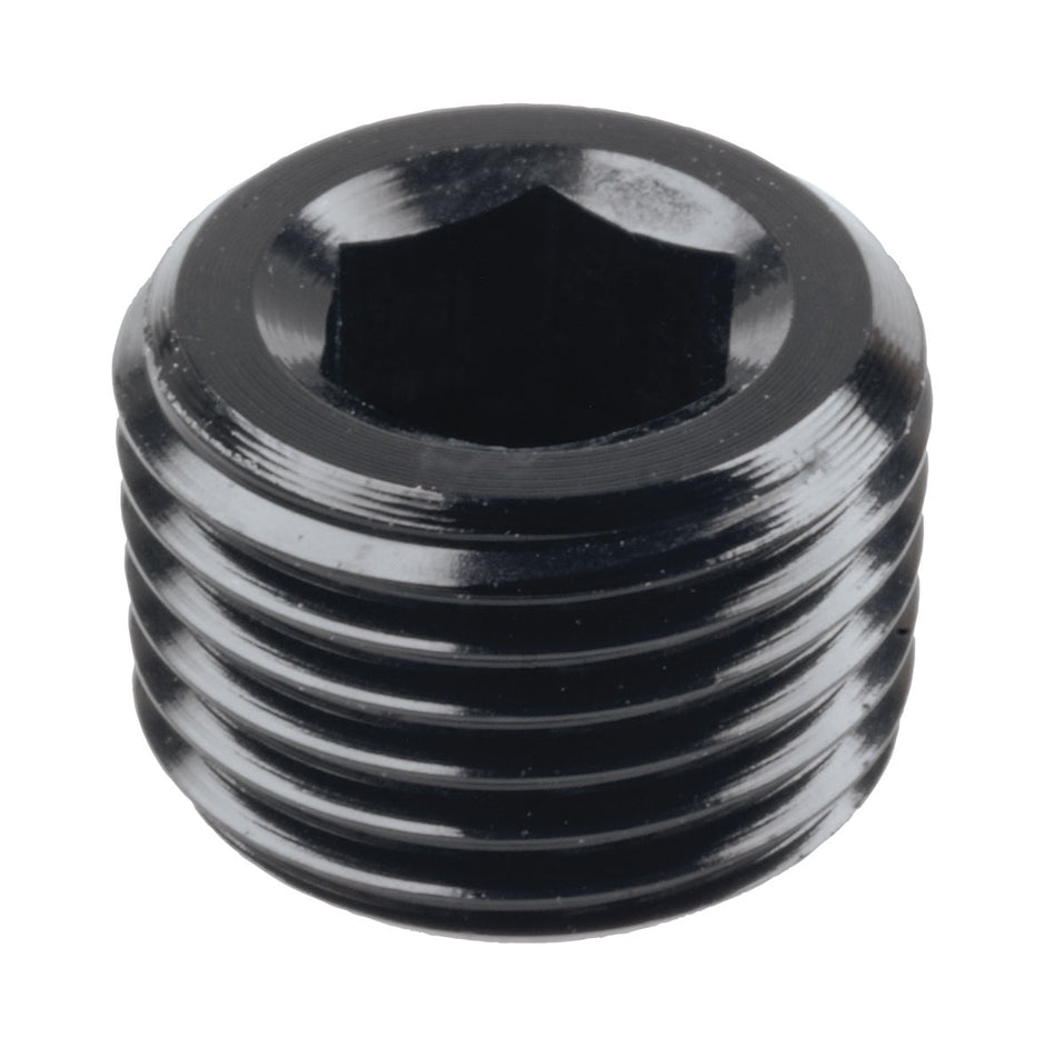 Raceworks NPT Male Plug Fitting