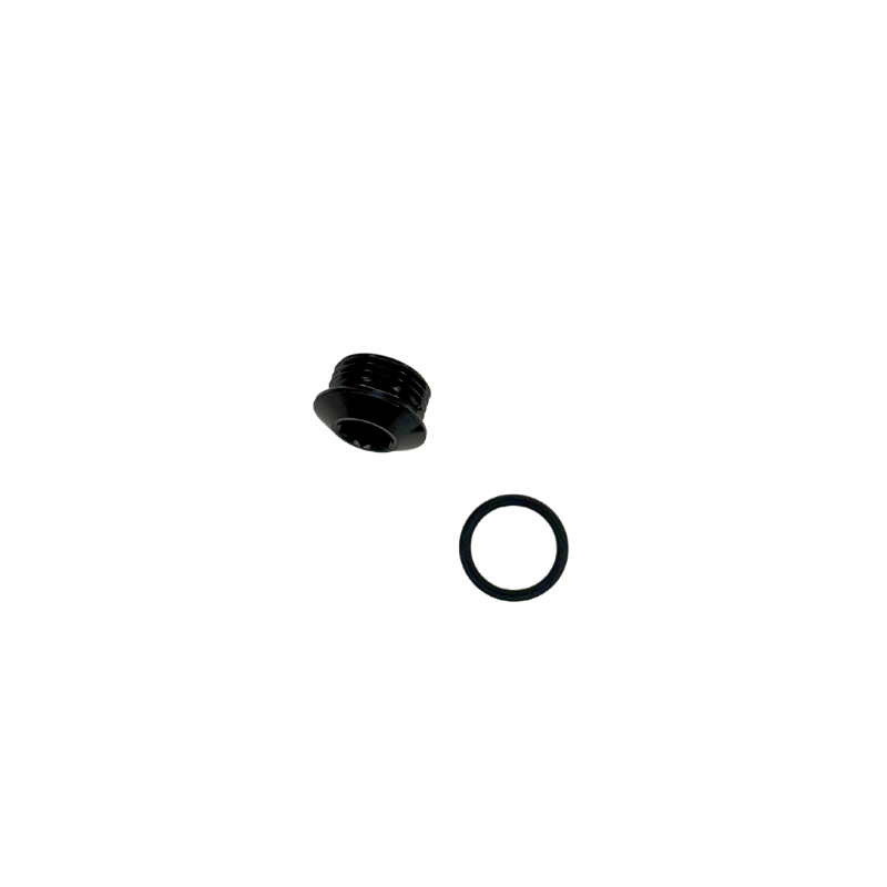 GFB 5738 -6AN ORB Blanking Plug