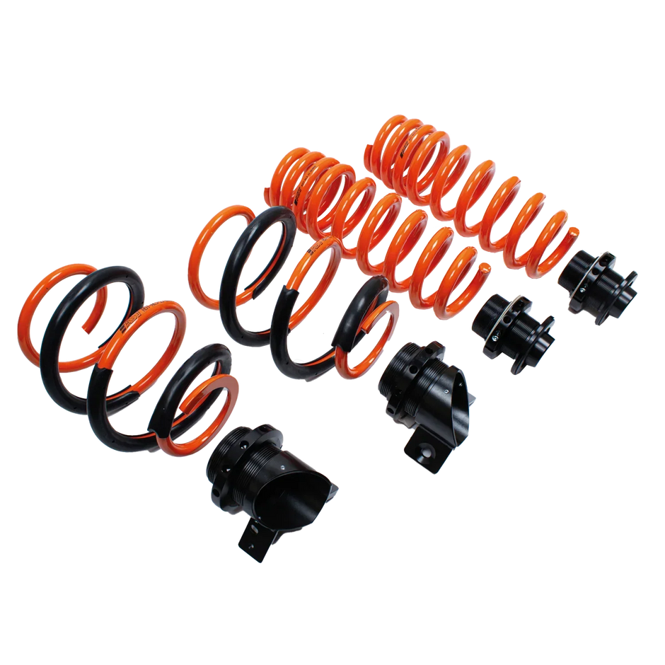 AST Adjustable Lowering Spring (ALS)- BMW M2 (F87) / M3 (F80) / M4 (F82/F83)