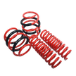 AST Lowering Springs- BMW X6 M (F86)