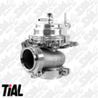 GENUINE TiAL Wastegate MVR 44mm (Silver)