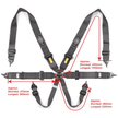 Harness FIA 6 Point Camlock 3in Black Homologated