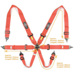 Harness FIA 6 Point Camlock 3in Red Homologated