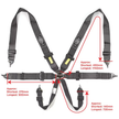Harness SFI 6 Point Camlock 3in Black Homologated