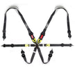 SAAS Harness FIA Approved 6 Point HANS Homologated 3