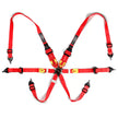 SAAS Harness FIA Approved 6 Point HANS Homologated 3