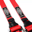 SAAS Harness FIA Approved 6 Point HANS Homologated 3