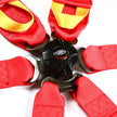SAAS Harness FIA Approved 6 Point HANS Homologated 3