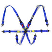SAAS Harness FIA Approved 6 Point HANS Homologated 3