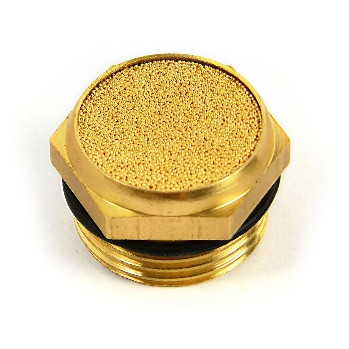 SAAS Oil Catch Tank Bronze Filter 40 Microns SBF100 - view 1