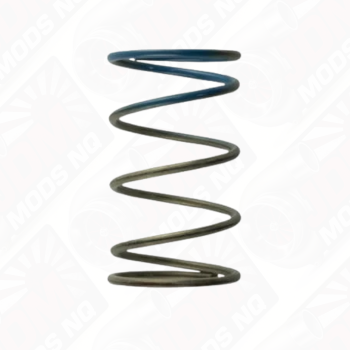 TURBOSMART Gen 4/IWG WG38/40/45/50L 10PSI Outer Spring – Brown/Blue TS-0505-2005