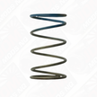 TURBOSMART Gen 4/IWG WG38/40/45/50L 10PSI Outer Spring – Brown/Blue TS-0505-2005