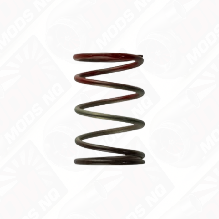 TURBOSMART Gen 4/IWG WG38/40/45/50L 11PSI Middle Spring – Brown/Red TS-0505-2004