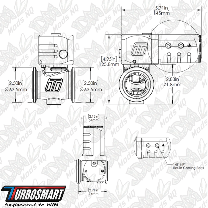Turbosmart Electronic StraightGate40 eSG40 External Wastegate TS-0563-1002