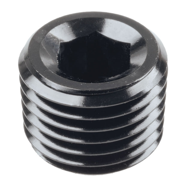 Raceworks NPT Male Plug Fitting
