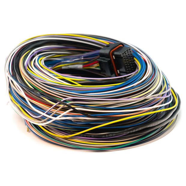 Link B Loom Long - 5m (5LB) 101-0009 – cable and connector overview