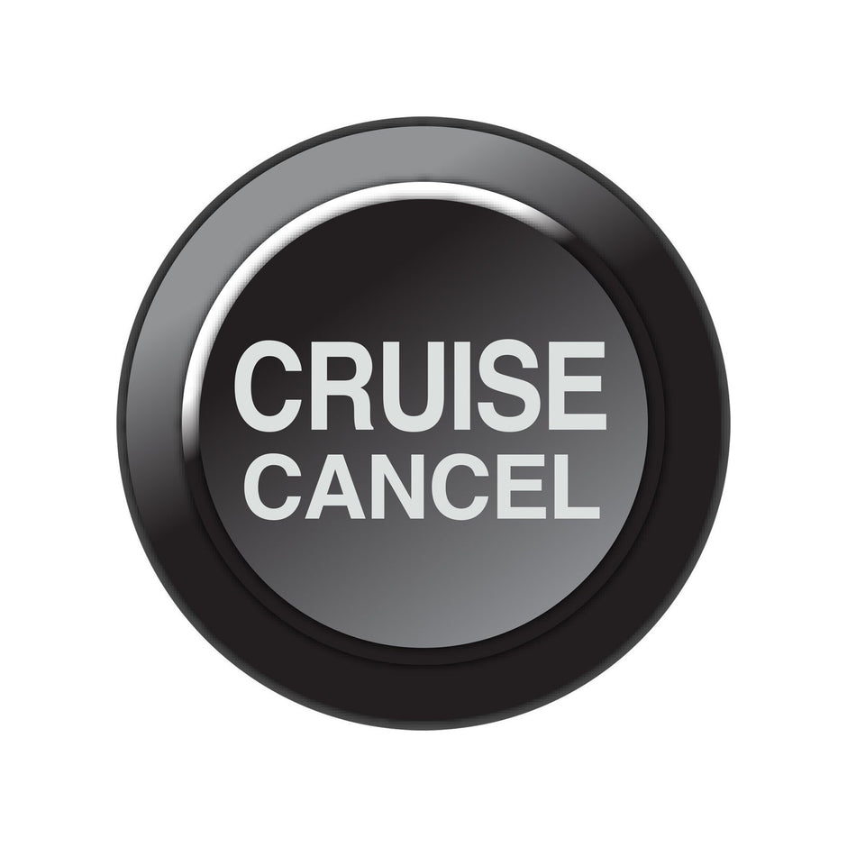 Link CAN Keypad Insert 101-0261 – Cruise Cancel button legend