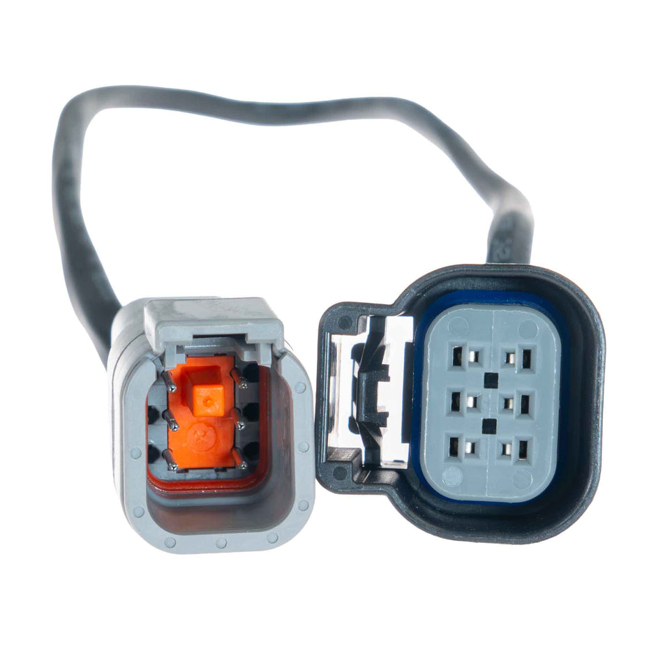 Link LS DBW Adapter Loom 101-0304 – connector and wiring detail