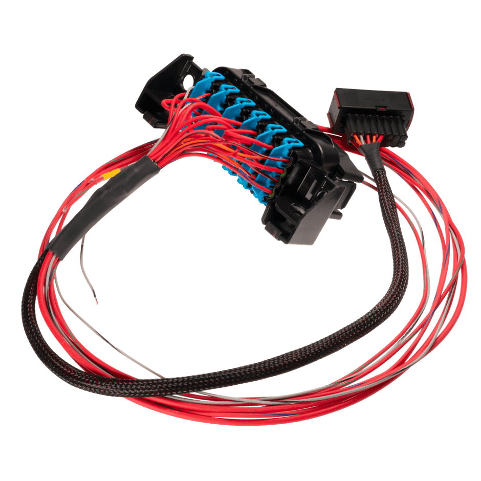 Link LS Harness - Fuse and Relay Box 101-0310 – connector and wiring detail