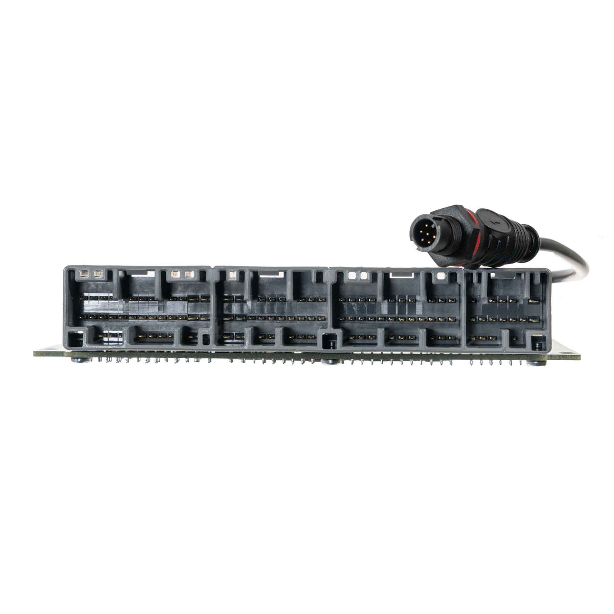 Link G4X HC96X Plug-In ECU (Honda Civic 1996-98, Gen 6) 206-4000 – factory connector detail