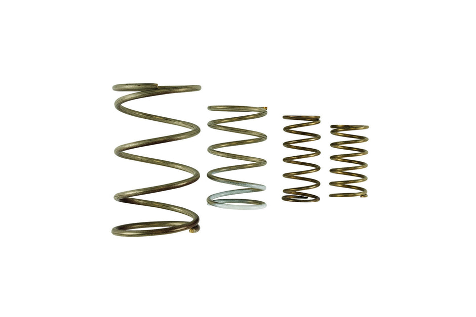Turbosmart GenV WG60 Spring Replacement Kit — TS-0550-3152