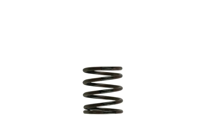 Turbosmart Gen4 IWG/WG38/40/45/50L 3PSI INNER SPRING - BROWN/BLACK — TS-0505-2001
