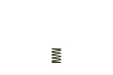 Turbosmart GenV Spring (3psi) Inner (Black) Suit WG38/40 — TS-0550-3081