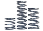 MOTON Linear Racing Springs- 120 Series (120mm x 61mm ID)